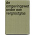 De Omgevingswet onder de loep