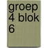 groep 4 blok 6