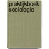 Praktijkboek sociologie