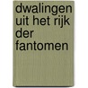 Dwalingen uit het rijk der fantomen door Dieter Neyens