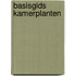 Basisgids kamerplanten