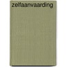 Zelfaanvaarding by Jef de Vriese