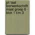 Pit Taal leerwerkschrift maat groep 6 - blok 1 t/m 3