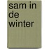 Sam in de winter