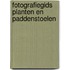 Fotografiegids planten en paddenstoelen