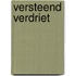 Versteend verdriet