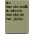 De Wonderwolk Doeboek Wonderen van Jezus