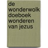 De Wonderwolk Doeboek Wonderen van Jezus by Aisha Meel