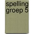 Spelling groep 5