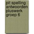 Pit Spelling antwoorden pluswerk groep 6