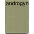 Androgyn