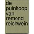 De puinhoop van Remond Reichwein