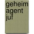 Geheim agent juf