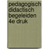 Pedagogisch didactisch begeleiden