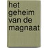 Het geheim van de magnaat