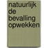 Natuurlijk de bevalling opwekken