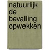 Natuurlijk de bevalling opwekken door Floor Tuinstra