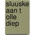 Sluuske aan t Olle Diep