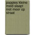 Pappies kleine meid slaapt niet meer op straat