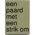 Een paard met een strik om