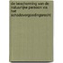 De bescherming van de natuurlijke persoon via het schadevergoedingsrecht