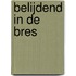 Belijdend in de bres