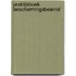 Praktijkboek beschermingsbewind