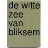 De Witte Zee van Bliksem by Rowena de Wit