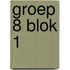 groep 8 blok 1