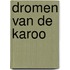 Dromen van de Karoo