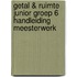 Getal & Ruimte Junior groep 6 handleiding Meesterwerk