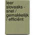 Leer Slovaaks - Snel / Gemakkelijk / Efficiënt