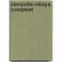 Samyutta-Nikaya Compleet
