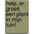 Help, er groeit een plant in mijn tuin!