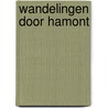 Wandelingen door Hamont by Willem van Lit
