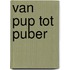 Van pup tot puber