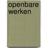 Openbare werken by Patrick Allegaert