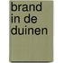 Brand in de duinen