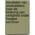 Resultaten van stadsateliers naar de beleving van veiligheid onder Haagse senioren