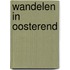 Wandelen in Oosterend