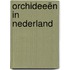Orchideeën in Nederland