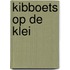 Kibboets op de klei
