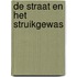 De straat en het struikgewas