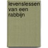 Levenslessen van een rabbijn