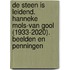 De steen is leidend. Hanneke Mols-van Gool. 1933-2020. Beelden en Penningen