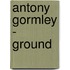Antony Gormley - GROUND