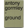 Antony Gormley - GROUND door Suzanne Swarts