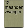 12 Maanden Zwanger door Willemijn van Lochem