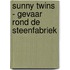 Sunny Twins - Gevaar rond de steenfabriek