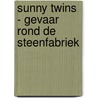 Sunny Twins - Gevaar rond de steenfabriek by Annette van der Plas